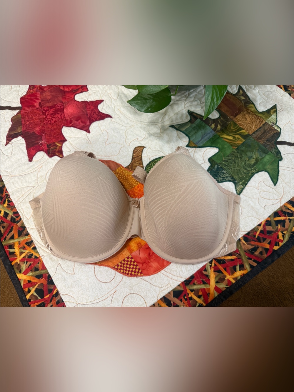 Wacoal Beige Strapless T-Shirt Bra - Women Intimates